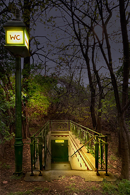 Toilet in the Wood