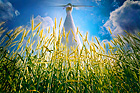 Eco-Energy