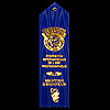 FIAP - Honourable Mention