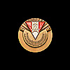 VOEAV Bronze