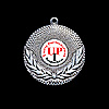 UPI - Silver