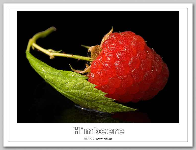 Lade Foto ...